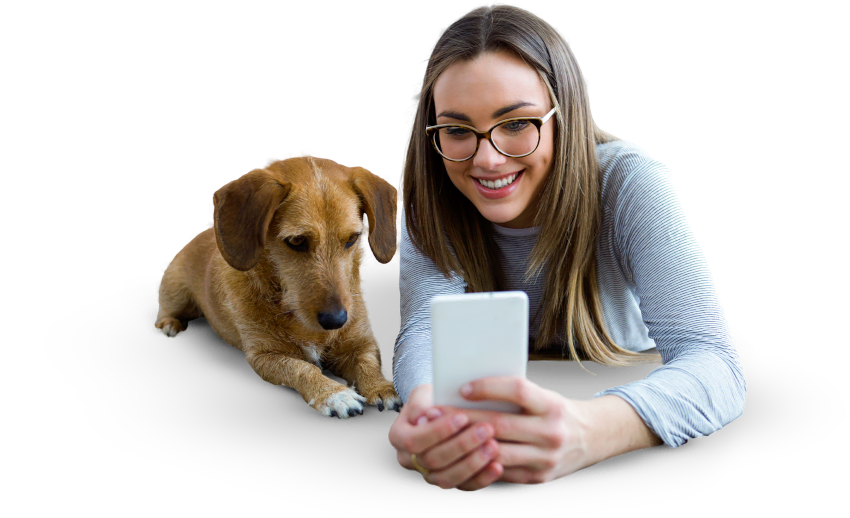 Woman and a dog consulting with a vet online